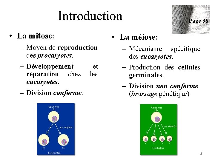 Introduction • La mitose: Page 38 • La méiose: – Moyen de reproduction des