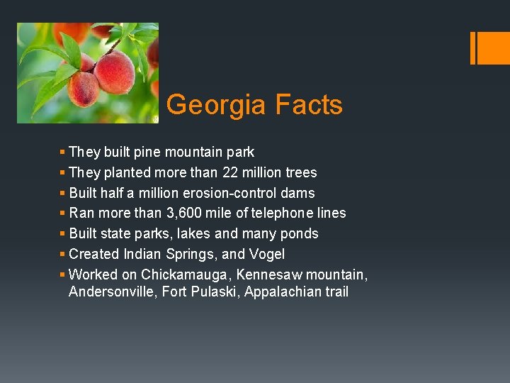 Georgia Facts § They built pine mountain park § They planted more than 22