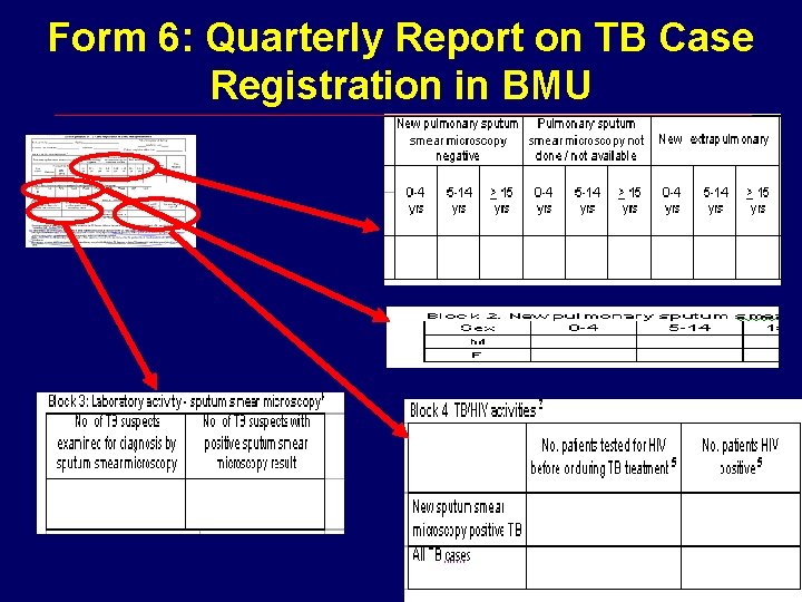Form 6: Quarterly Report on TB Case Registration in BMU 