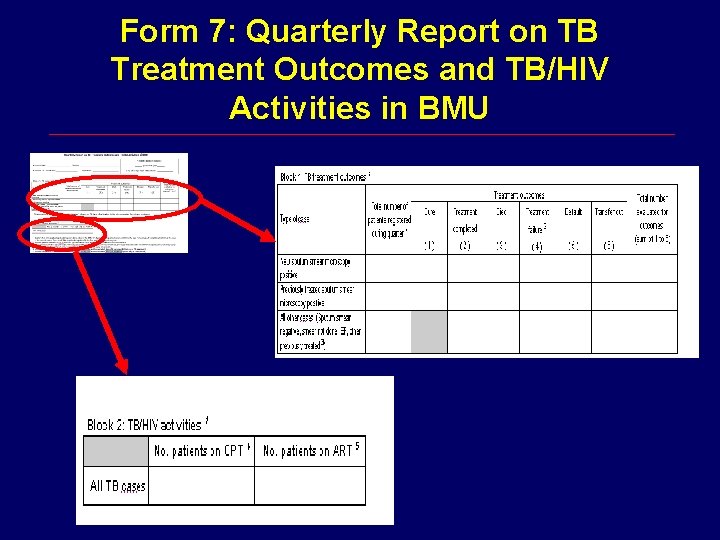 Form 7: Quarterly Report on TB Treatment Outcomes and TB/HIV Activities in BMU 