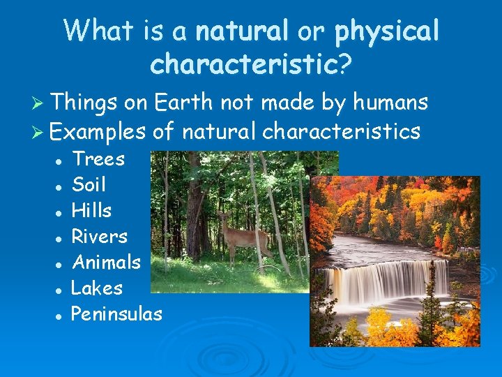 What is a natural or physical characteristic? Ø Things on Earth not made by