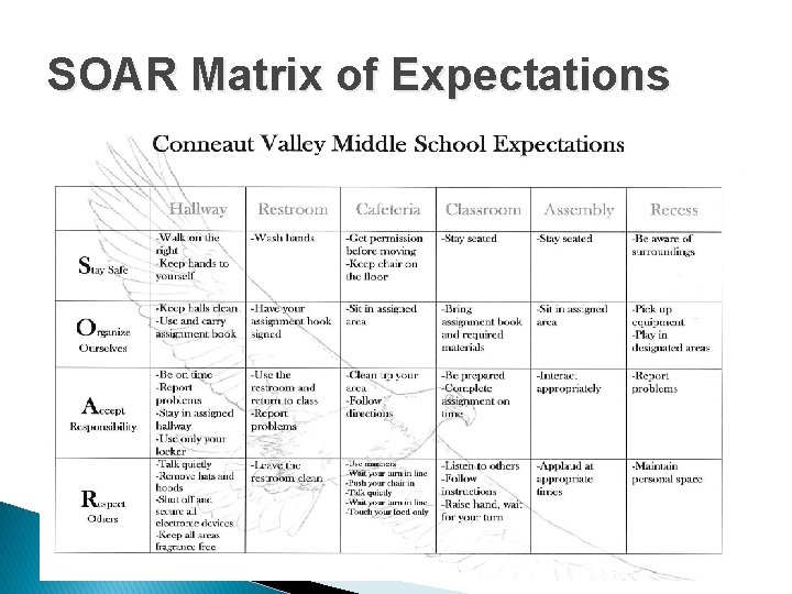 SOAR Matrix of Expectations 