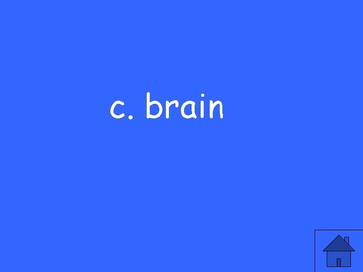 c. brain 