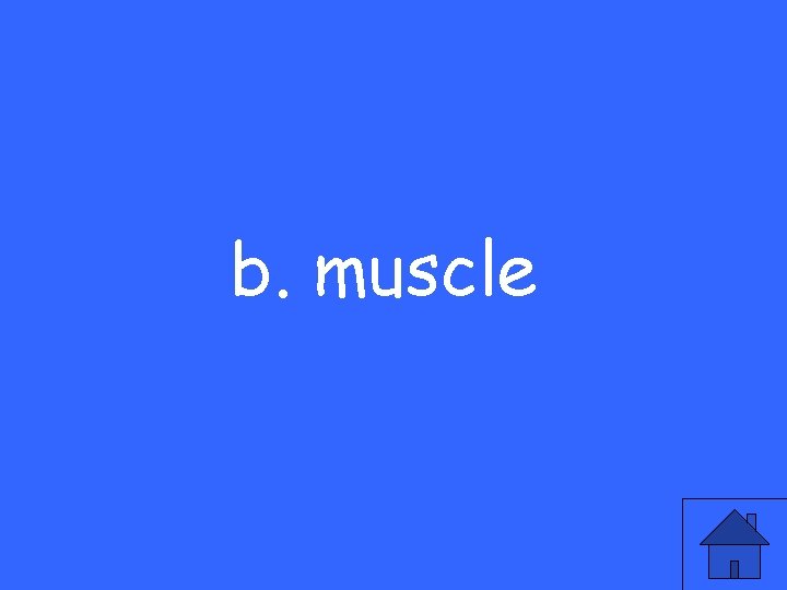 b. muscle 