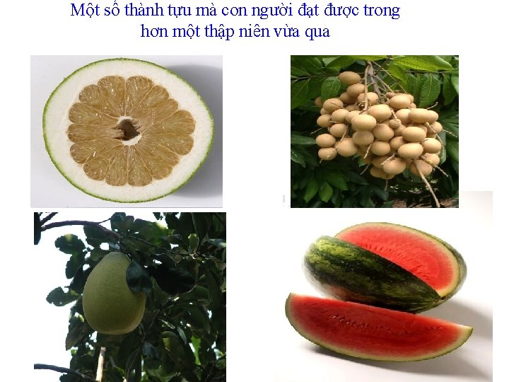 Một số thành tựu mà con người đạt được trong hơn một thập niên