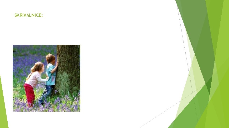 SKRIVALNICE: 