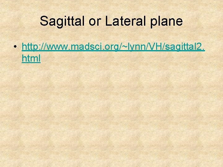 Sagittal or Lateral plane • http: //www. madsci. org/~lynn/VH/sagittal 2. html 