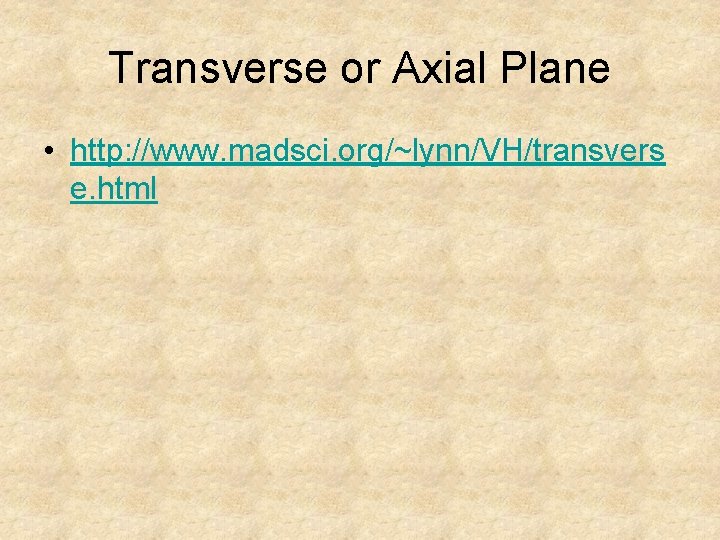 Transverse or Axial Plane • http: //www. madsci. org/~lynn/VH/transvers e. html 