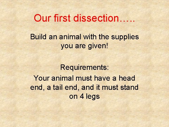Our first dissection…. . Build an animal with the supplies you are given! Requirements: