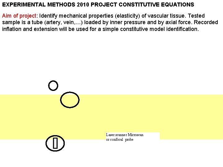 EXPERIMENTAL METHODS 2010 PROJECT CONSTITUTIVE EQUATIONS Aim of project: Identify mechanical properties (elasticity) of