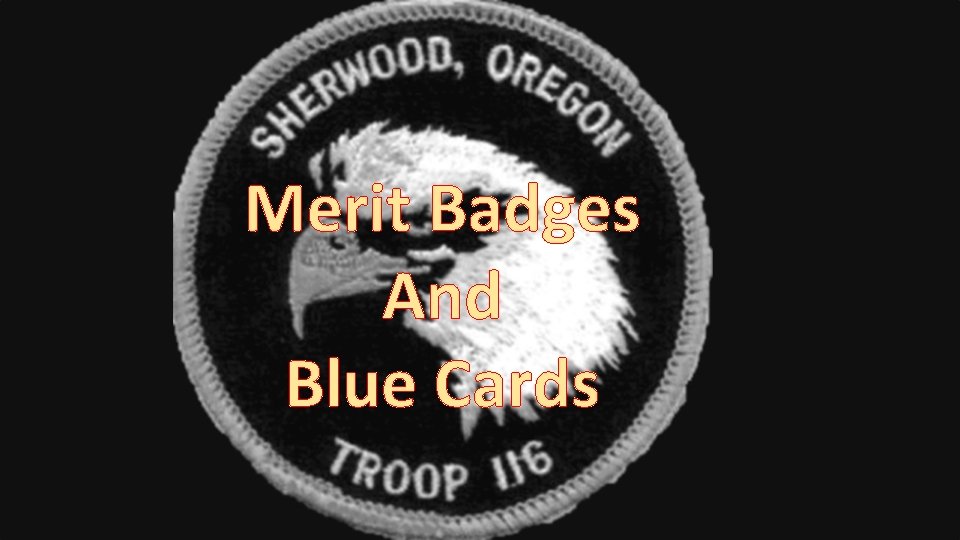 Merit Badges And Blue Cards 