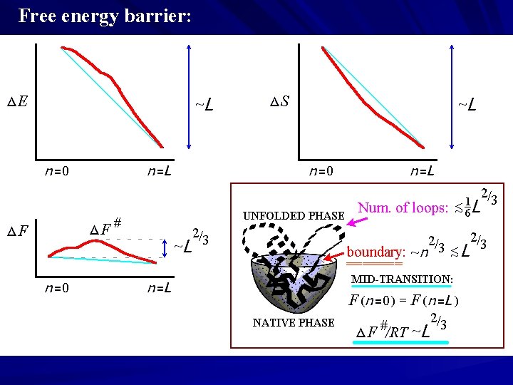 Free energy barrier: ======= 