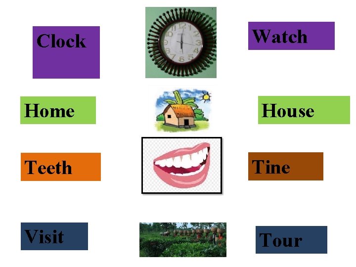 Clock Home Teeth Visit Watch House Tine Tour 