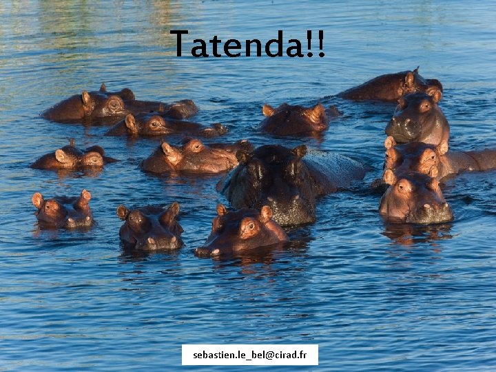 Tatenda!! sebastien. le_bel@cirad. fr 