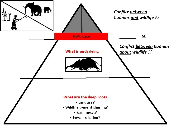 Conflict between humans and wildlife ? ? HWC case or What is underlying Conflict