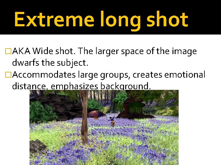 Extreme long shot �AKA Wide shot. The larger space of the image dwarfs the