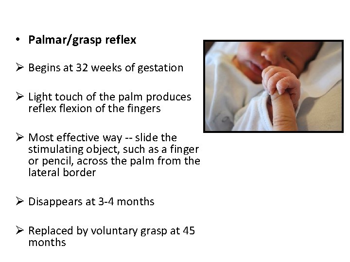  • Palmar/grasp reflex Ø Begins at 32 weeks of gestation Ø Light touch