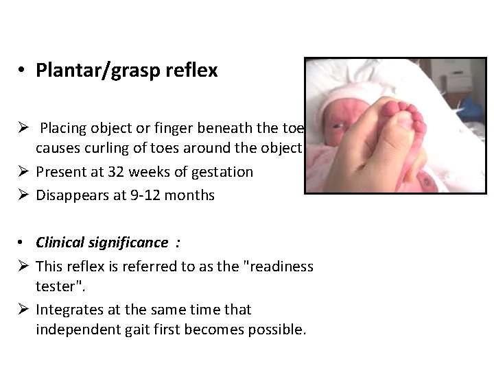  • Plantar/grasp reflex Ø Placing object or finger beneath the toes causes curling