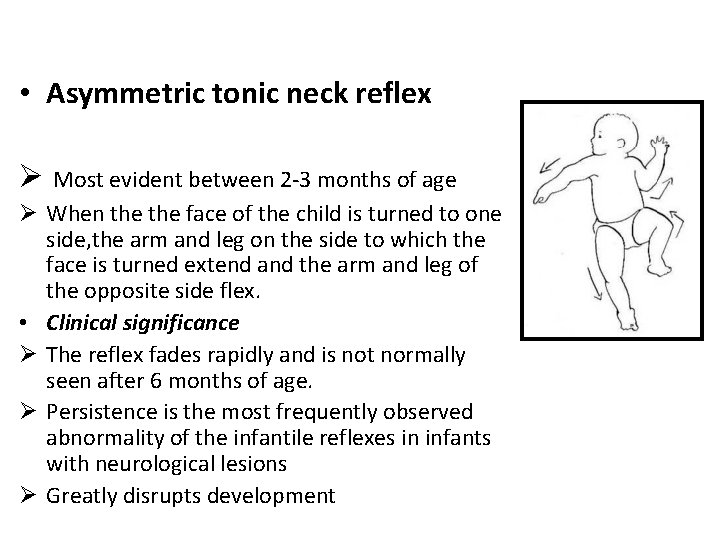  • Asymmetric tonic neck reflex Ø Most evident between 2 -3 months of