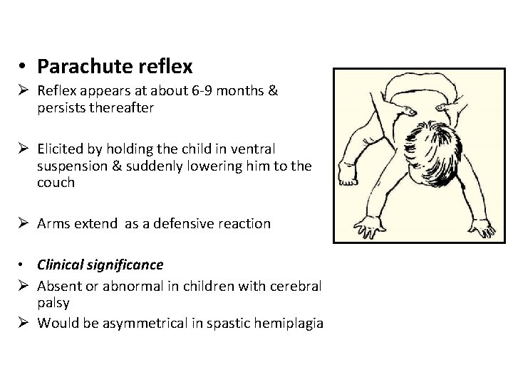  • Parachute reflex Ø Reflex appears at about 6 -9 months & persists