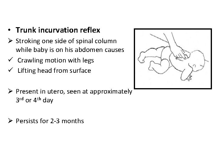  • Trunk incurvation reflex Ø Stroking one side of spinal column while baby