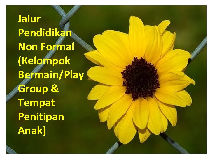 Jalur Pendidikan Non Formal (Kelompok Bermain/Play Group & Tempat Penitipan Anak) 