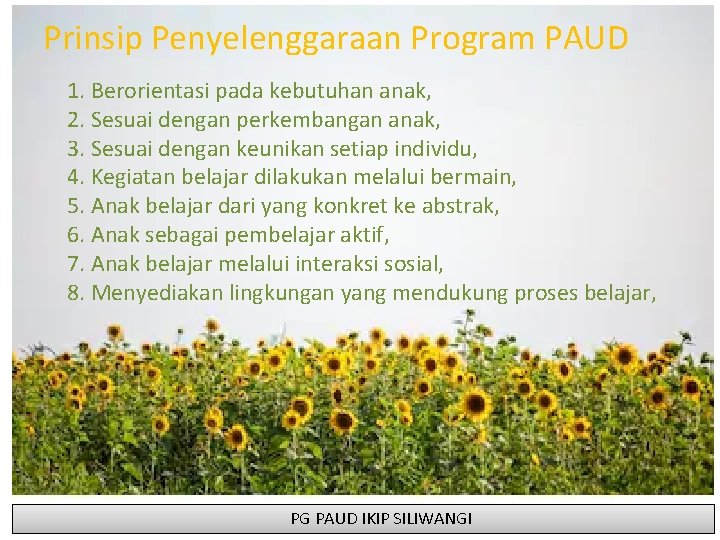 Prinsip Penyelenggaraan Program PAUD 1. Berorientasi pada kebutuhan anak, 2. Sesuai dengan perkembangan anak,