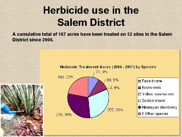 Herbicide use in the Salem District A cumulative total of 167 acres have been