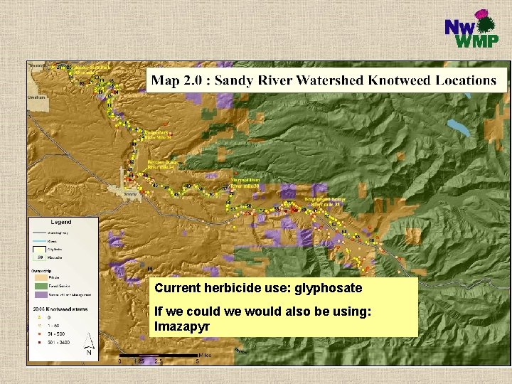 Current herbicide use: glyphosate If we could we would also be using: Imazapyr 