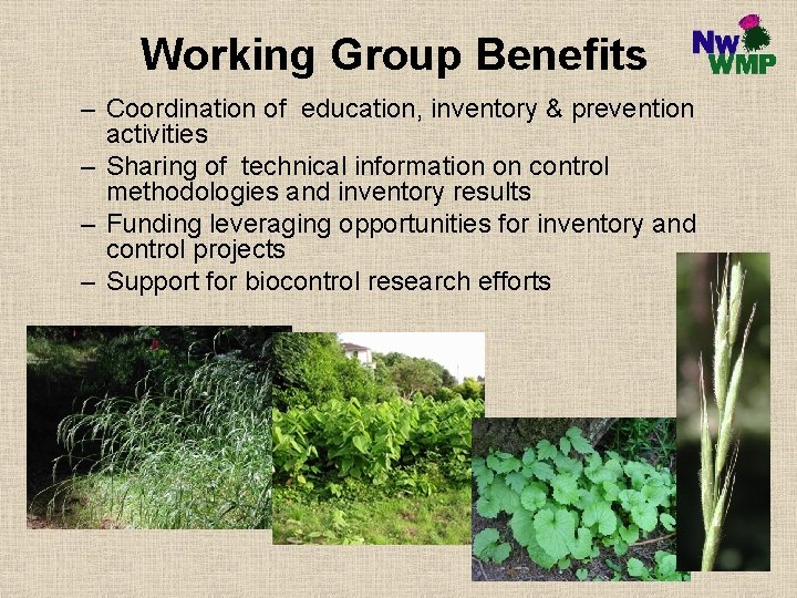 Working Group Benefits – Coordination of education, inventory & prevention activities – Sharing of