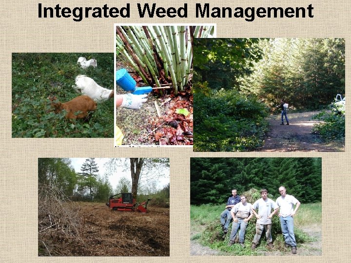 Integrated Weed Management 
