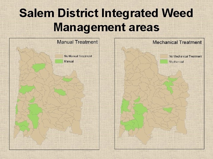 Salem District Integrated Weed Management areas 