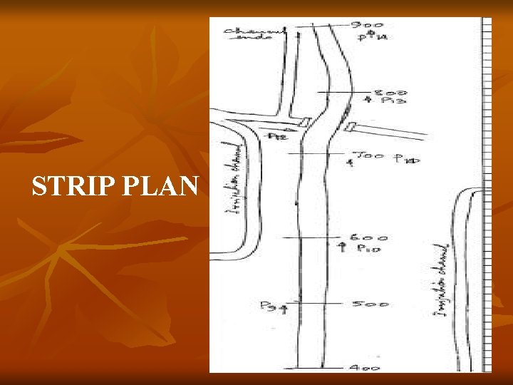 STRIP PLAN 