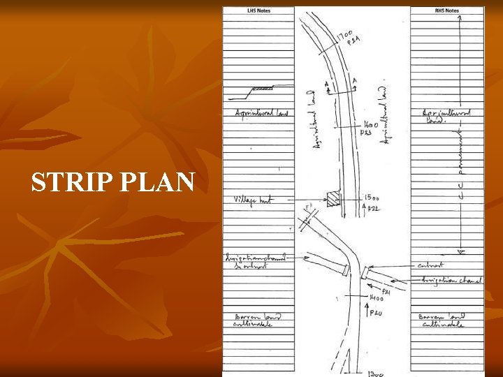 STRIP PLAN 