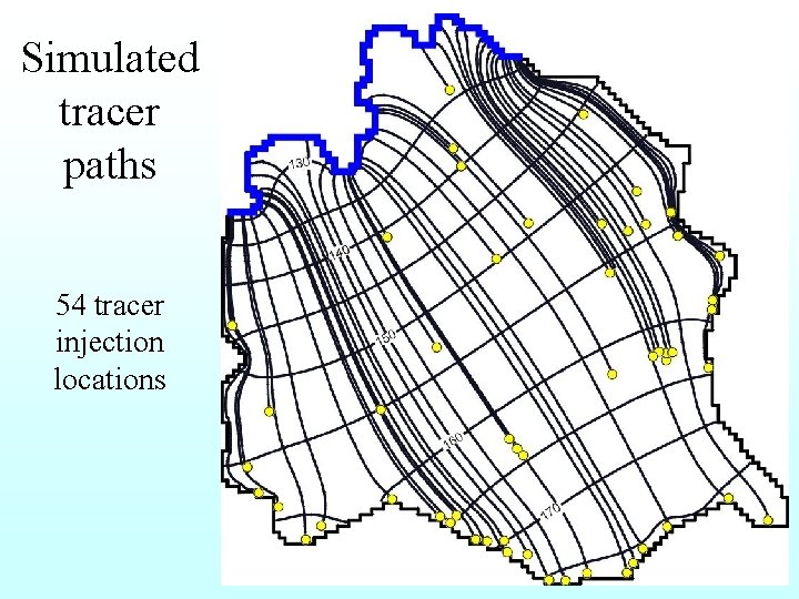 Simulated tracer paths 54 tracer injection locations 