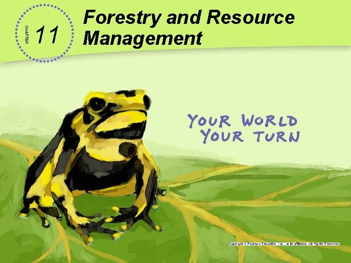 CHAPTER 11 Forestry and Resource Management 