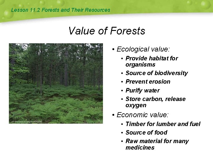 Lesson 11. 2 Forests and Their Resources Value of Forests • Ecological value: •