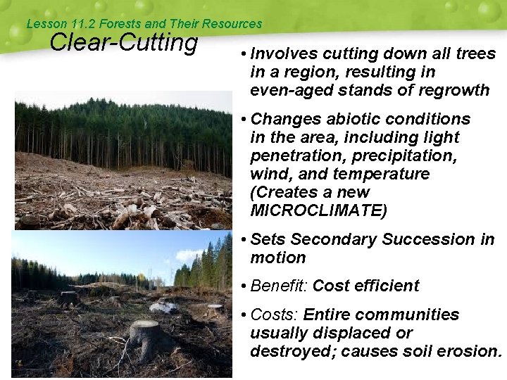 Lesson 11. 2 Forests and Their Resources Clear-Cutting • Involves cutting down all trees