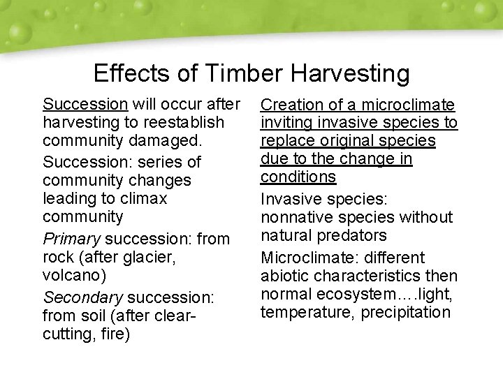 Effects of Timber Harvesting Succession will occur after harvesting to reestablish community damaged. Succession: