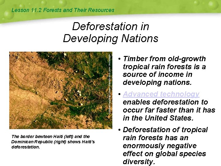 Lesson 11. 2 Forests and Their Resources Deforestation in Developing Nations • Timber from