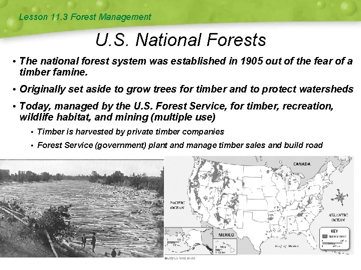 Lesson 11. 3 Forest Management U. S. National Forests • The national forest system
