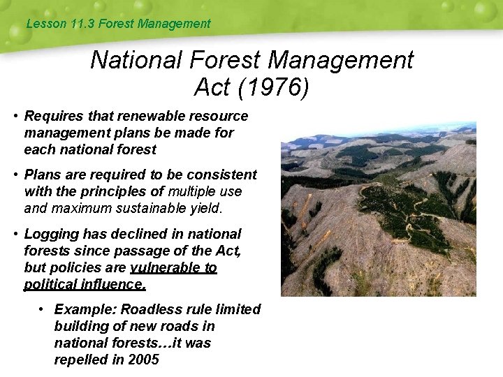 Lesson 11. 3 Forest Management National Forest Management Act (1976) • Requires that renewable