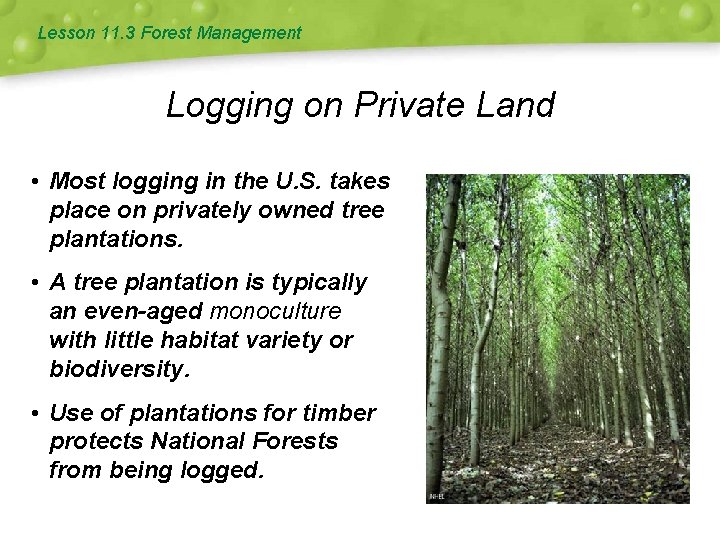 Lesson 11. 3 Forest Management Logging on Private Land • Most logging in the