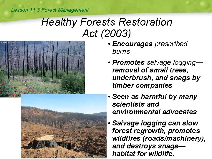 Lesson 11. 3 Forest Management Healthy Forests Restoration Act (2003) • Encourages prescribed burns