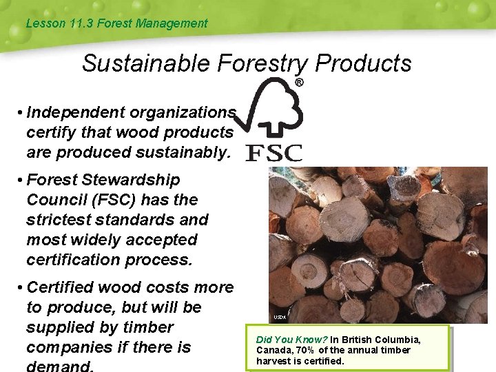 Lesson 11. 3 Forest Management Sustainable Forestry Products • Independent organizations certify that wood