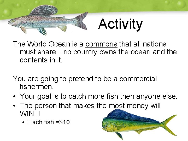 Activity The World Ocean is a commons that all nations must share…no country owns