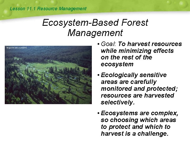 Lesson 11. 1 Resource Management Ecosystem-Based Forest Management • Goal: To harvest resources while