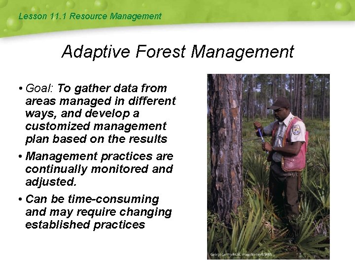 Lesson 11. 1 Resource Management Adaptive Forest Management • Goal: To gather data from