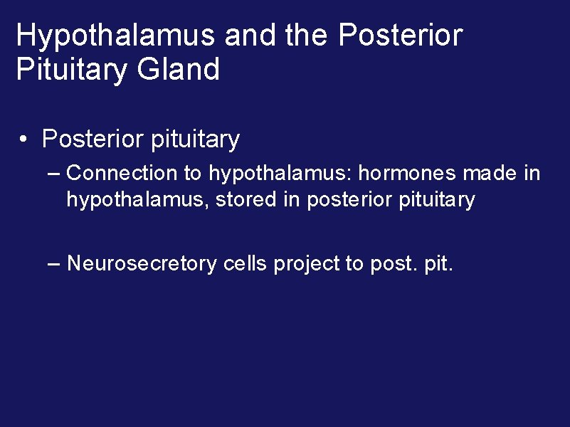 Hypothalamus and the Posterior Pituitary Gland • Posterior pituitary – Connection to hypothalamus: hormones