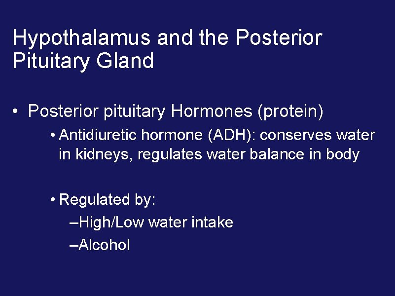 Hypothalamus and the Posterior Pituitary Gland • Posterior pituitary Hormones (protein) • Antidiuretic hormone